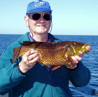 The kind of fish (and angler) we studiously refrain from mentioning in the newsletter. This is our old ballan record of 4lb 6oz.