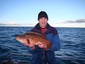 Ben's record wrasse