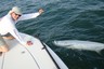 150lb Tarpon in Islamorada April 2011