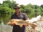 wye barbel